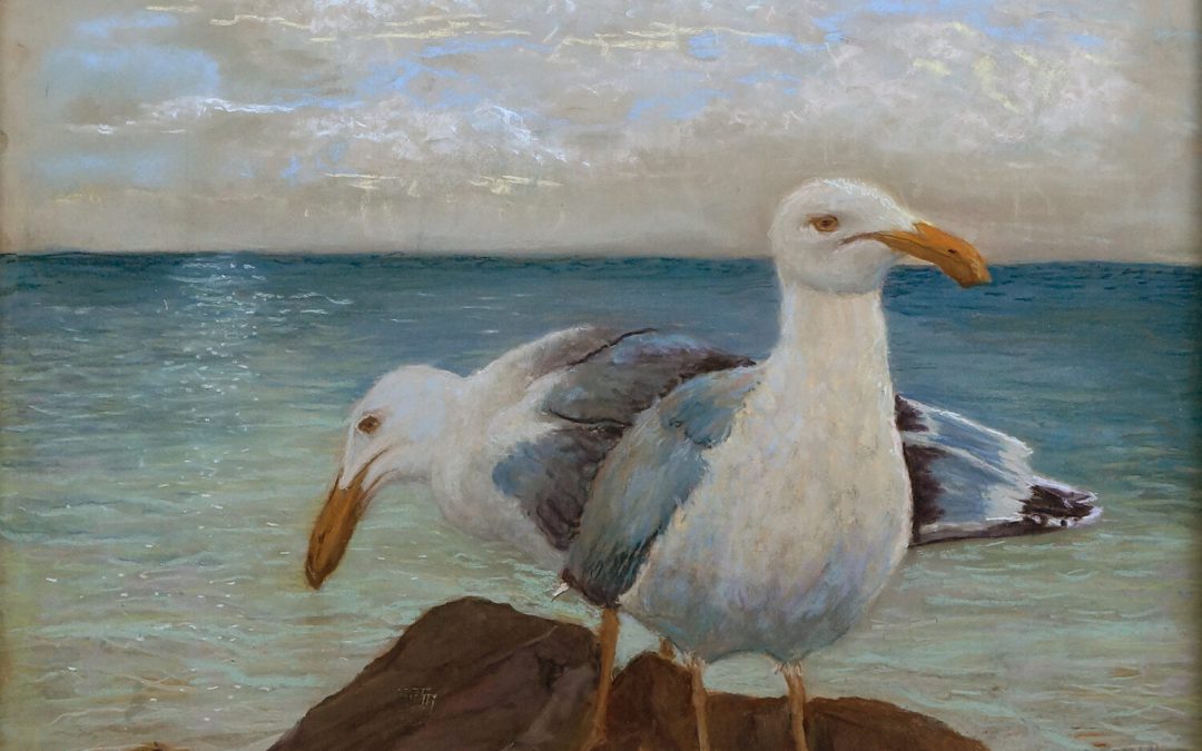 Two Seagulls